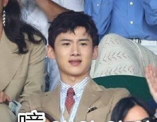 娱乐吃瓜猫白敬亭,娱乐吃瓜猫的时尚魅力